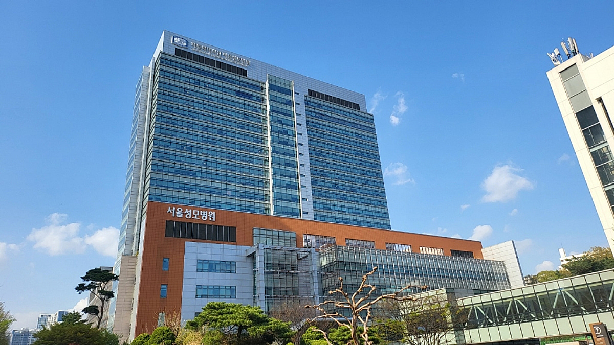 서울 대형병원 이동